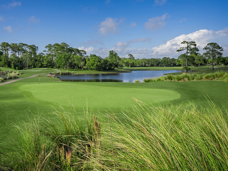 Peninsula Lakes Course Hole #8